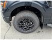 2025 Ford F-150 XLT (Stk: F1349) in Miramichi - Image 9 of 13
