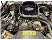 1981 Pontiac  Trans Am Bandit (Stk: 121555) in Watford - Image 28 of 32