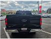 2023 Ford F-150 XLT (Stk: 2510553) in Waterloo - Image 4 of 26
