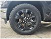 2023 Ford F-150 XLT (Stk: 2510553) in Waterloo - Image 10 of 26