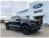 2025 Ford F-150 XLT (Stk: 25T924) in CRESTON - Image 1 of 27