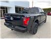 2025 Ford F-150 XLT (Stk: 25T924) in CRESTON - Image 8 of 27