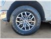 2021 Ford F-150 Lariat (Stk: 16969-1) in Wyoming - Image 9 of 15