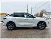 2024 Ford Escape ST-Line (Stk: 31194AA) in The Pas - Image 6 of 12
