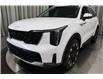 2025 Kia Sorento 2.5T EX (Stk: 26739) in Edmonton - Image 6 of 25