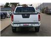 2019 Nissan Frontier PRO-4X (Stk: UT2197B) in Kamloops - Image 4 of 21