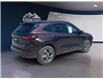 2023 Ford Escape ST-Line (Stk: 10552) in Golden - Image 5 of 16