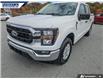 2023 Ford F-150 XLT (Stk: P7484LA) in Dartmouth - Image 7 of 26
