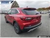 2025 Ford Escape PHEV (Stk: 27764) in Dartmouth - Image 9 of 24