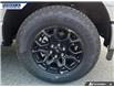 2025 Ford F-150 XLT (Stk: 27625) in Dartmouth - Image 6 of 24