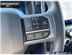 2025 Ford F-150 XLT (Stk: 5F118694) in Brantford - Image 14 of 23