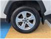2021 Toyota RAV4 XLE (Stk: LP8434) in Mount Pearl - Image 7 of 19