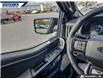2025 Ford F-150 Lightning Platinum (Stk: 28027) in Dartmouth - Image 15 of 24