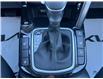 2025 Kia Seltos EX (Stk: UPK156) in Cold Lake - Image 14 of 19 2025 Kia Seltos EX (Stk: UPK156) in Cold Lake - Image 14 of 19
