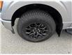 2025 Ford F-150 XLT (Stk: F1347) in Miramichi - Image 9 of 13