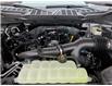 2025 Ford F-150 XLT (Stk: F1347) in Miramichi - Image 13 of 13