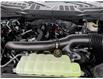 2025 Ford F-150 STX (Stk: F1352) in Miramichi - Image 13 of 13