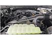 2025 Ford F-150 XLT (Stk: F1358) in Miramichi - Image 13 of 13