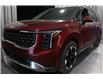 2026 Kia Carnival EX+ (Stk: 26636) in Edmonton - Image 6 of 28