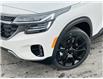 2026 Kia Seltos X-Line (Stk: S26119) in Stratford - Image 20 of 25