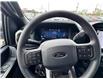 2025 Ford F-150 STX (Stk: FS35577) in Windsor - Image 23 of 26
