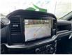2025 Ford F-150 STX (Stk: FS35577) in Windsor - Image 25 of 26