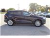 2026 Ford Escape Active (Stk: ES261) in Harrow - Image 4 of 19