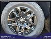 2026 Chevrolet Silverado 1500 LT Trail Boss (Stk: 26LD1134) in Unity - Image 18 of 18