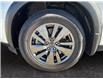 2024 Nissan Pathfinder SV (Stk: 20251) in Okotoks - Image 11 of 12