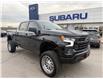 2023 Chevrolet Silverado 1500 LT Trail Boss (Stk: P2101) in Newmarket - Image 1 of 22
