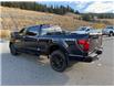 2025 Ford F-150 XLT (Stk: 5T120) in Williams Lake - Image 3 of 13
