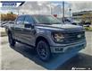 2025 Ford F-150 XLT (Stk: 27960) in Dartmouth - Image 24 of 24