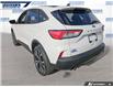 2022 Ford Escape SE (Stk: P9060L) in Dartmouth - Image 5 of 23