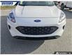 2022 Ford Escape SE (Stk: P9060L) in Dartmouth - Image 7 of 23