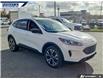 2022 Ford Escape SE (Stk: P9060L) in Dartmouth - Image 23 of 23