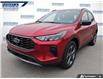 2025 Ford Escape ST-Line (Stk: 27734) in Dartmouth - Image 6 of 24