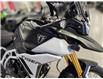 2025 Triumph TIGER 900 RALLY PRO (Stk: 25TS-052) in Grande Prairie - Image 7 of 12
