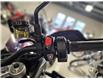 2025 Triumph TIGER 900 RALLY PRO (Stk: 25TS-052) in Grande Prairie - Image 9 of 12