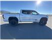 2024 Toyota Tundra Platinum (Stk: X115480A) in Cranbrook - Image 6 of 20