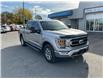 2021 Ford F-150  (Stk: 250816A) in Kingston - Image 7 of 25