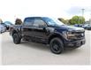2025 Ford F-150 XLT (Stk: LT2533) in Harrow - Image 3 of 20
