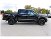2025 Ford F-150 XLT (Stk: LT2533) in Harrow - Image 4 of 20
