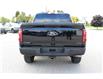 2025 Ford F-150 XLT (Stk: LT2533) in Harrow - Image 6 of 20
