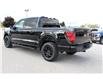 2025 Ford F-150 XLT (Stk: LT2533) in Harrow - Image 7 of 20