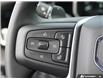 2026 GMC Sierra 1500 Elevation (Stk: 41906) in Georgetown - Image 20 of 28