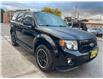 2009 Ford Escape XLT Automatic (Stk: FB68217) in Scarborough - Image 3 of 16