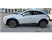 2022 Mazda CX-3 GT (Stk: PM4491) in Ottawa - Image 3 of 26