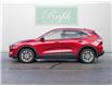 2022 Ford Escape SE (Stk: P0972) in Mississauga - Image 5 of 25