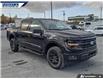 2025 Ford F-150 XLT (Stk: 27892) in Dartmouth - Image 24 of 24