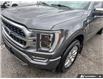 2022 Ford F-150 Platinum (Stk: 164087) in London - Image 8 of 26